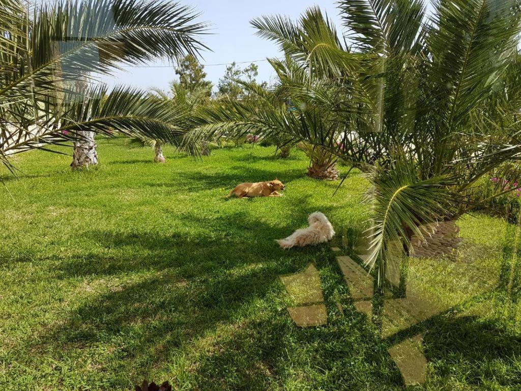 Les Jardins De Mogador Yoga Et Spa Essaouira Exterior photo